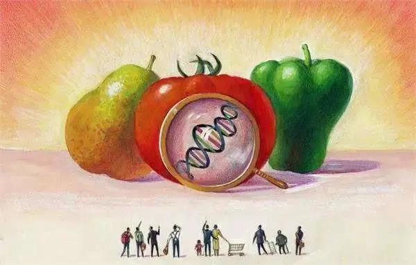 转基因食品:我不要你觉得,我要科学觉得!(图1) 转基因食品:我不要你觉得,我要科学觉得!(图1)