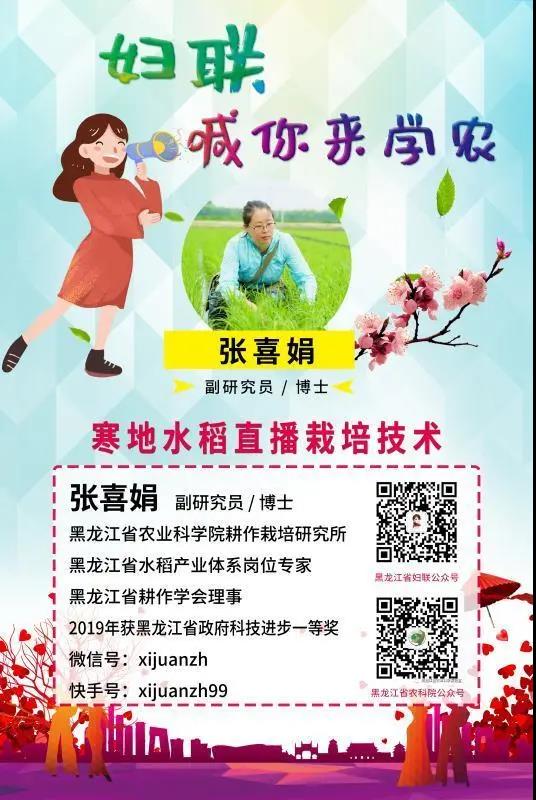 一碗“敲好吃”的大米饭,就是“家”的味道!想知道大米是怎么来的么?(图4) 一碗“敲好吃”的大米饭,就是“家”的味道!想知道大米是怎么来的么?(图4)