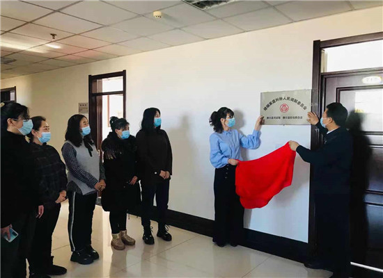 林口县成立婚姻家庭纠纷人民调解委员会(图1)